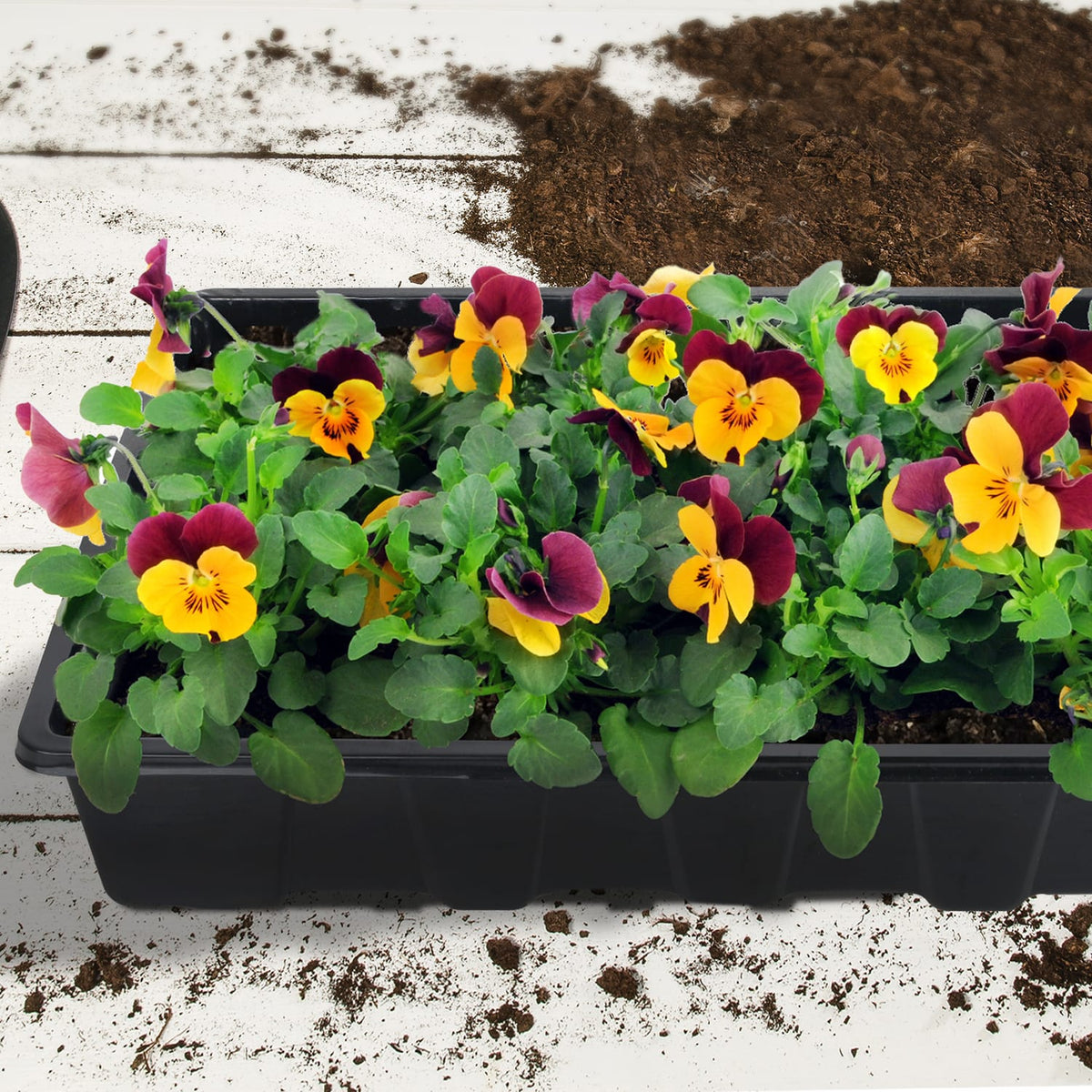 Jardin Large Seed Trays 5 Pack, product image 2